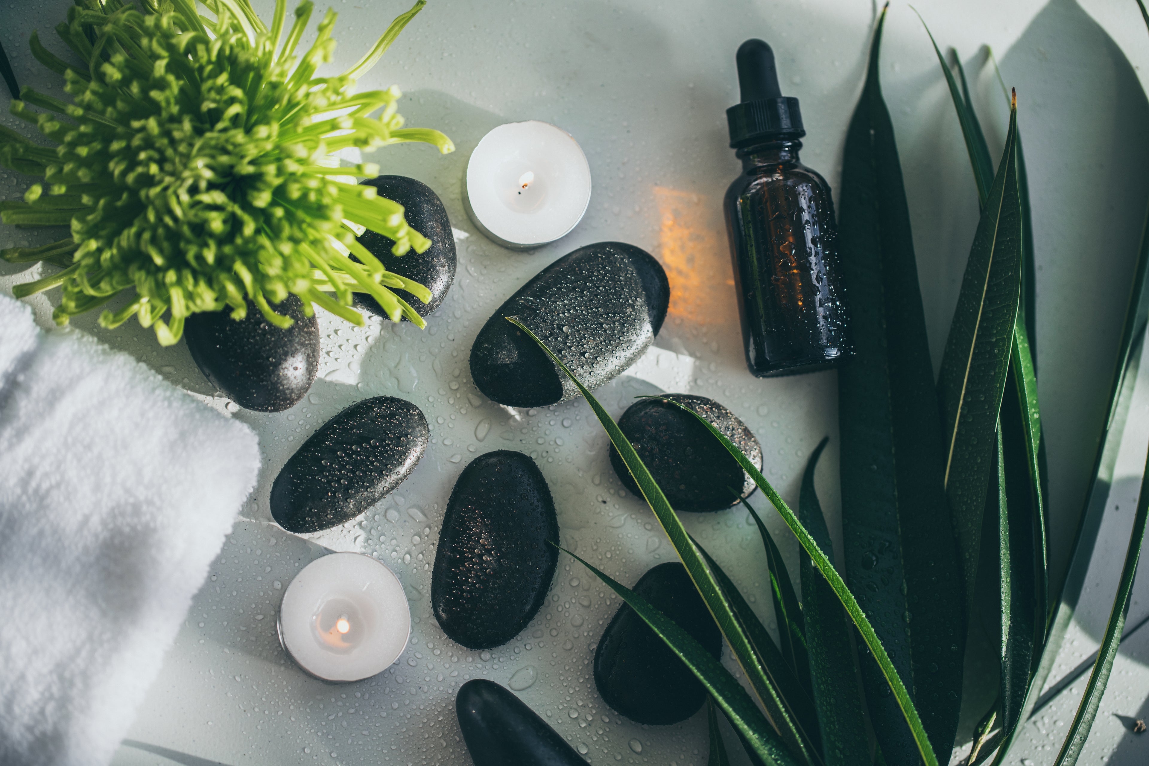 Vida holistica en Spa